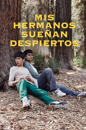 Mis Hermanos Sueñan Despiertos