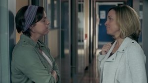 5e Rang: 1×11