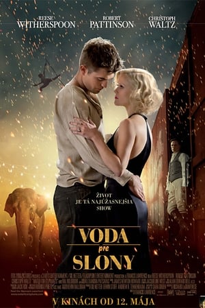 Voda pre slony (2011)