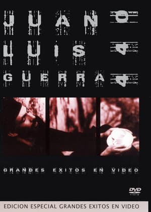 Image Juan Luis Guerra y 4,40: Grandes Exitos en Video
