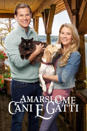 Poster Amarsi come cani e gatti 2017