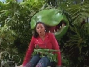 That’s So Raven: 3×22