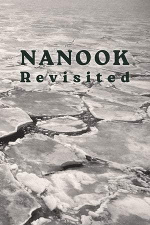 Image Nanook Revisited