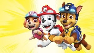 PAW Patrol: Ready, Race, Rescue!