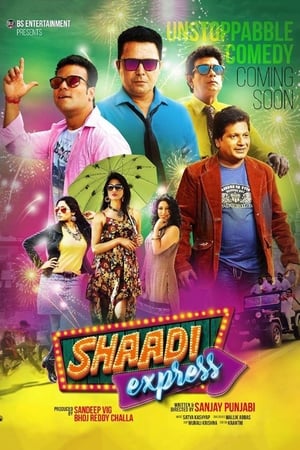 Poster Shaadi Express (2017)