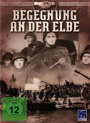 Meeting on the Elbe poster