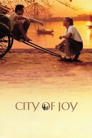 City of Joy 1992 1080p BRRip H264 AAC-RBG