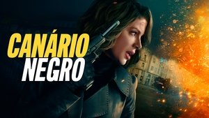 Images posters
