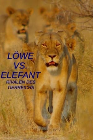 Poster Löwe vs. Elefant: Rivalen des Tierreichs 2003