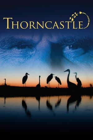 Poster Thorn Castle (2012)