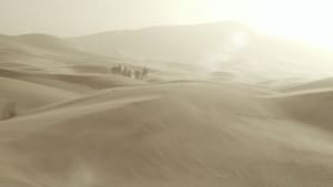 Queen of The Desert (2015) ดูหนังที่คำวิจารณ์ดีมากจากนักดูหนัง