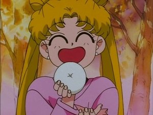 Sailor Moon Season 4 Episode 29