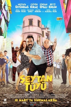 Şeytan Tüyü poster