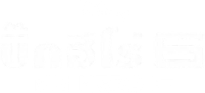 Big Hero 6 บิ๊ก ฮีโร่ 6