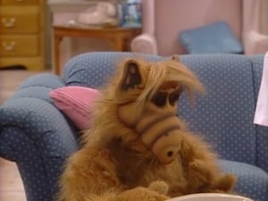 ALF: 1×16