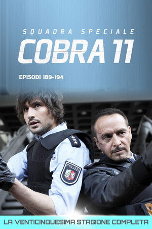 Squadra Speciale Cobra 11: Stagione 25