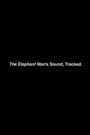 The Elephant Man’s Sound, Tracked.