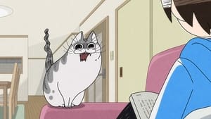 Nights With a Cat: 1×10