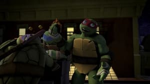 Teenage Mutant Ninja Turtles Rise of the Turtles (1)