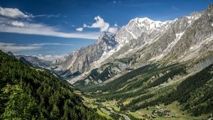 Des racines et des ailes