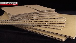 Cardboard