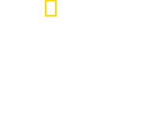 Tucci en Italia — Logos 9