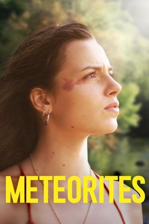 Poster Meteorites (2019)