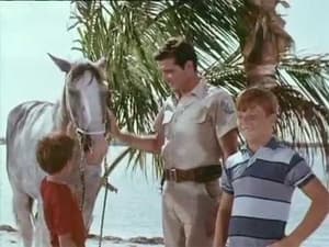 Flipper Flipper and the Horse Thieves
