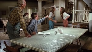 Die Waltons: 4×8