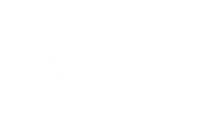 Busca Alucinante