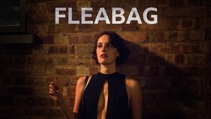 poster Fleabag