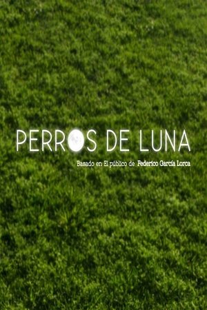 Poster Perros de luna 2017