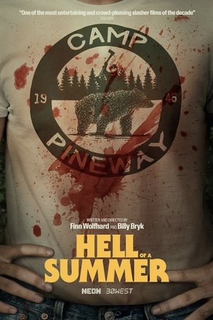 Hell of a Summer cover