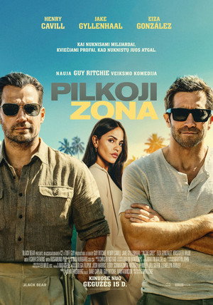 poster In the Grey