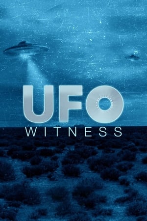 Poster UFO Witness 2021