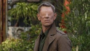 Marvel’s Agents of S.H.I.E.L.D. Season 2 Episode 20