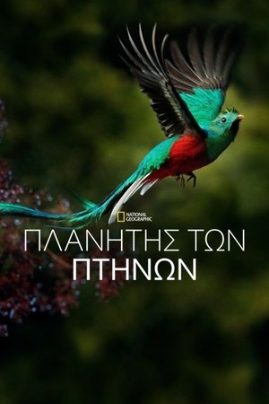 Image Πλανήτης των Πτηνών