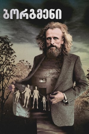 Poster Borgman 2013