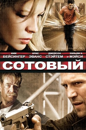 Poster Сотовый 2004