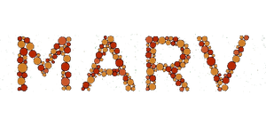 Logo Marv