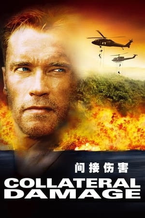 Poster 间接伤害 2002