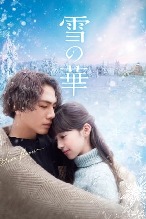 Poster Snow Flower 2019
