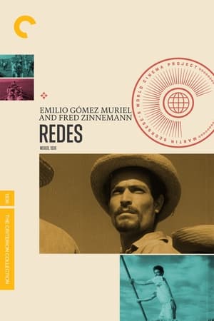 Redes poster