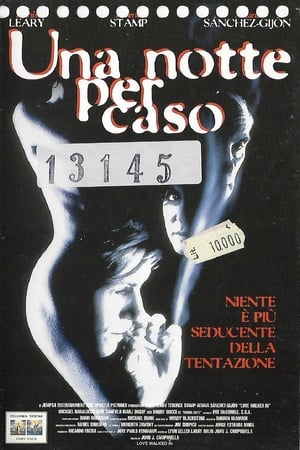 Una notte per caso 1997