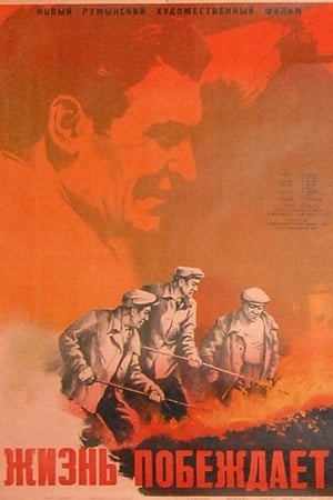 Poster Viaţa învinge (1951)