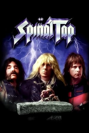 Image Spinal Tap