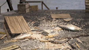 The Girl Who Cried Pearls