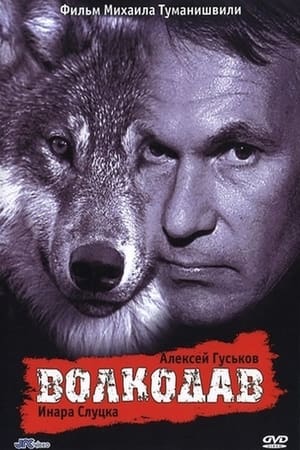 Poster Wolfhound (1991)