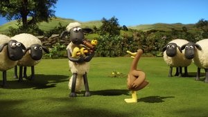 Shaun the Sheep: 3×8