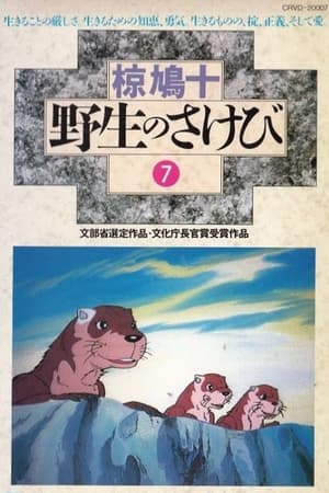 Poster アニメ 野生のさけび 1982